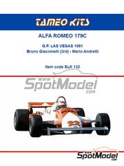 Car scale model kits / Formula 1 / 1/43 scale / 80 years: New products |  SpotModel